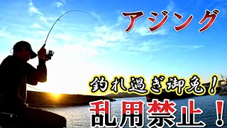 【初心者必見】とにかくアジングで釣ってみたい人へ❗❗前編❗