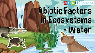 Abiotic Factors in Ecosystems – Water