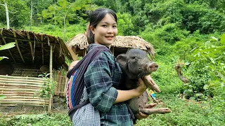 FULL VIDEO: 30 Days Perfecting a Bamboo house & Kitchen - Gardening - Animal care | Single Mom Life