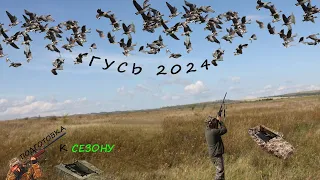 ГУСЬ 2024!!!   ПОДГОТОВКА К СЕЗОНУ!!! ТОЛЬКО ВЫСТРЕЛЫ !!!