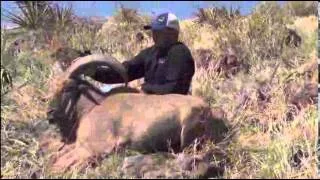 West Texas Free Range Aoudad Hunt with Double Diamond Outfitters - Low Res Version