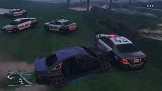 Grand Theft Auto V akcni polda auta