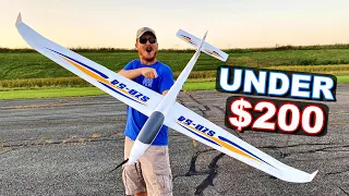 GIGANTIC 6.5 Foot WINGSPAN RC Plane!!! - Arrows SZD-54 - TheRcSaylors