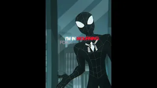 Spectacular Spider-Man Edit