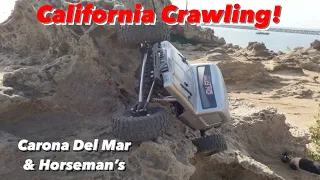 California Hardlines! Crawling with @reefsrc !