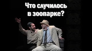 Э.Олби "Что случилось в зоопарке?" #театр #премьера #абсурд