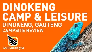 A review on Dinokeng Camp & Leisure - December 2023