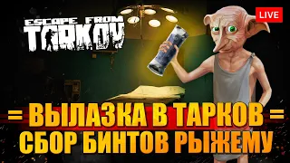 Ивент в ТАРКОВЕ - сбор бинтов на лечение Рыжего!