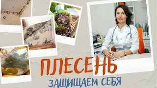 Плесень. Чем она опасна для человека? Как избежать контакта с ней?