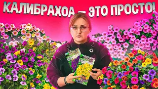 КАЛИБРАХОА! КАК ПРАВИЛЬНО СЕЯТЬ? ЛУЧШАЯ ШПАРГАЛКА ДЛЯ ДАЧНИКА