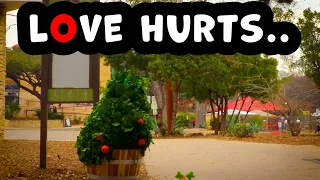 Bushman Prank: Consequences of Love.