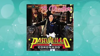 Pascualillo Coronado - El Picaflor (Album)