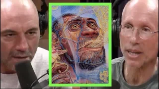 Joe Rogan - William Von Hippel on Stoned Ape Theory