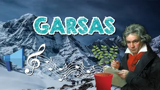 Garsas || Dabar žinai # 09