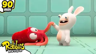 Rabbids VS Los Animales : ¿Quién ganará? | Rabbids La Invasión | Nueva compilación 90 Min | Cartoon