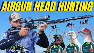 AIRGUN HEAD HUNTING WITH FX PANTHERA I PEST BIRD DESTRUCTION WITH AIRGUN I AIR RIFLE PIGEON HUNTING