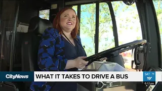 What does it take to drive a city transit bus?