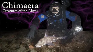 Chimaera Creatures of the Abyss (4K) | Vancouver Island, Canada