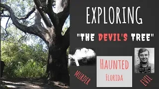 The Devils Tree, Oak Hammock Park Port St  Lucie Florida