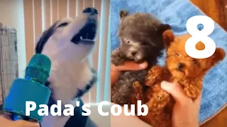 💌Best Coub Приколы V8 - BEST CUBE PADA'S COUB Part 8 - 🌊Memes Cube Compilation