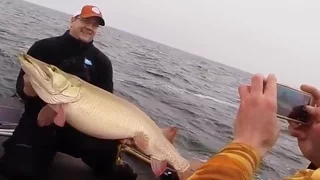 Giant Mille Lacs Muskie