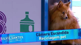 Reciclagem Pet | Câmeras Escondidas (02/04/23)