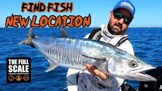 How I FIND FISH in a NEW LOCATION | The Full Scale
