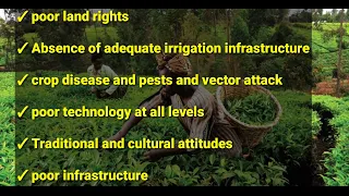 why is the agricultural sector performing poorly ( topic 3 UG ECON @NAISHAACADEMY )