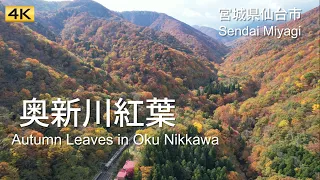 [4K] 仙山線と奥新川紅葉空撮(仙台市)/ Aerial view of Senzan Line and autumn leaves of Okunikkawa  (Sendai City)