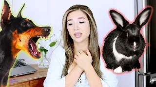 All of My Rabbit Care Mistakes 😬