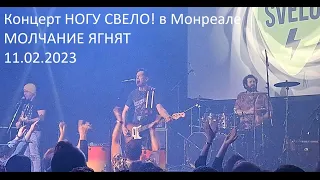 Ногу Свело! - Молчание ягнят Live Концерт в Монреале 11.02.2023@NoguSvelo  ​