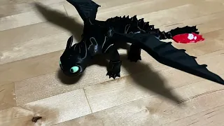 Toothless Print Timelapse