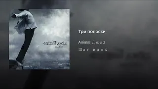 Три полоски Animal Джаz Шаг вдох