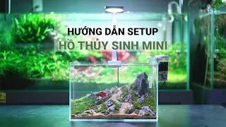 HƯỚNG DẪN setup hồ THỦY SINH MINI CỰC ĐẸP không cần CO2 dễ chăm sóc