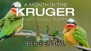 A MONTH in the KRUGER - BERG EN DAL (Episode 13)