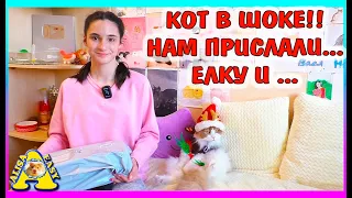 Прислали ЕЛКУ и ... /  ПОДАРКИ от подписчиков к новому году / ALISA EASY PETS