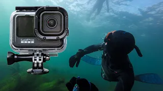 GoPro Best Settings Underwater