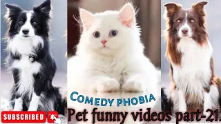 😃Pet funny videos part-21/🐈‍⬛vs🐕😁Animalspetvideos#petsim