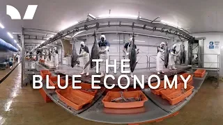 The Blue Economy - 360 Short Documentary