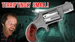 North American Arms Mini .22LR Revolver - Review & Testing #NAAMiniRevolver