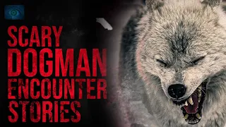 SCARY DOGMAN SIGHTINGS | DOGMAN ENCOUNTERS   CRYPTID STORIES 2020