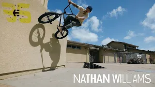 NATHAN WILLIAMS AND THE ETNIES JAMESON VULC