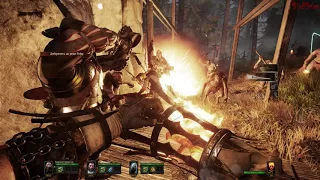 Рейквальдский лес - Warhammer End Times Vermintide