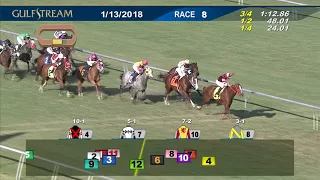 Gulfstream Park Race 8 | January 13, 2018