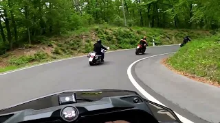 Can-Am Spyder F3-S: Kurvenschwingen im Harz