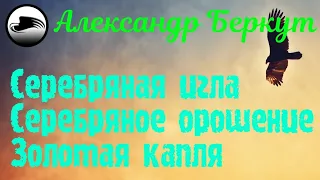 Энергетические каналы Серебряная игла, Серебряное орошение, Золотая капля