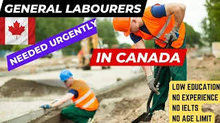 General Labourer Jobs In Canada With Free Visa Sponsorship In 2023 | No Education / No Experience