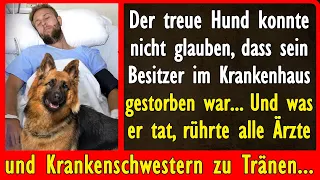 Der treue Hund konnte nicht glauben, dass sein Besitzer nicht mehr da war.