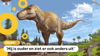 Onderzoekers ontdekken voorouder van de T. Rex 🦖