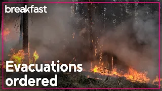 Wildfires rapidly spread across Canada | TVNZ Breakfast